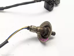 600ff24b-2719-4111-a858-a8e78e5cbca4.jpeg?