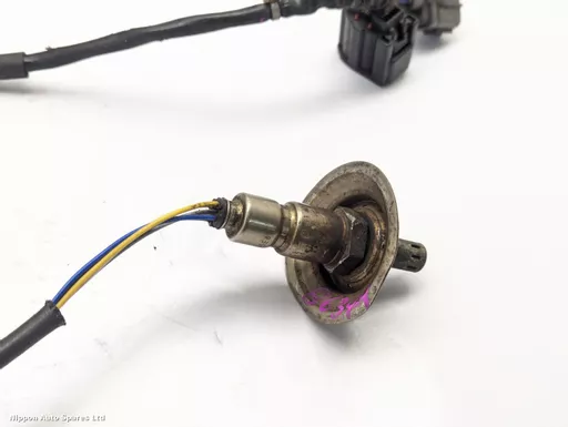 600ff24b-2719-4111-a858-a8e78e5cbca4.jpeg?