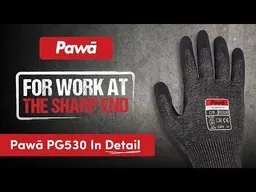pg530_back.jpg?