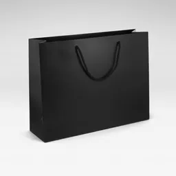 Small Black Matt Laminated Luxury Bag.jpg