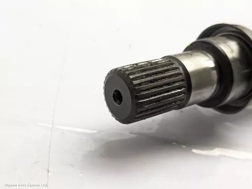 e38c4c8c-2dab-4ead-9f32-894448490c42.jpeg?