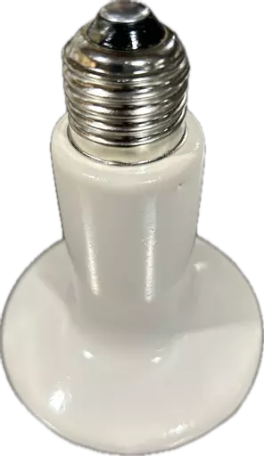Ceramic heat lamp bulb