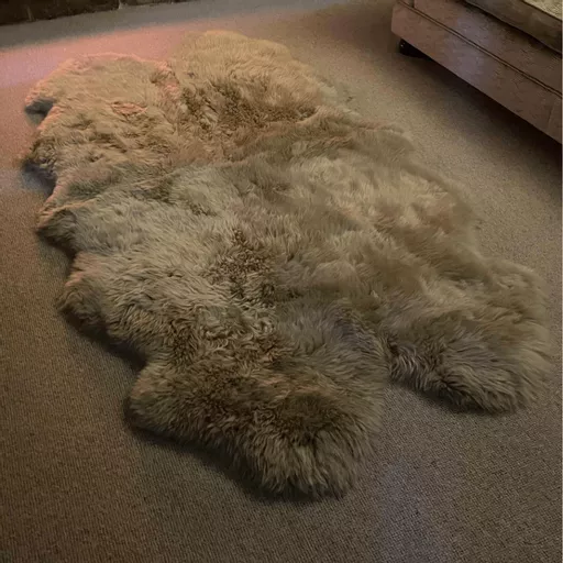Sheep Skin Quad Rug in Oyster