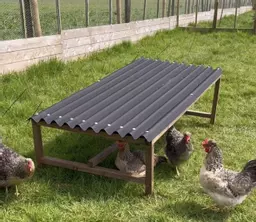 Chicken Rain Shelter with Perch