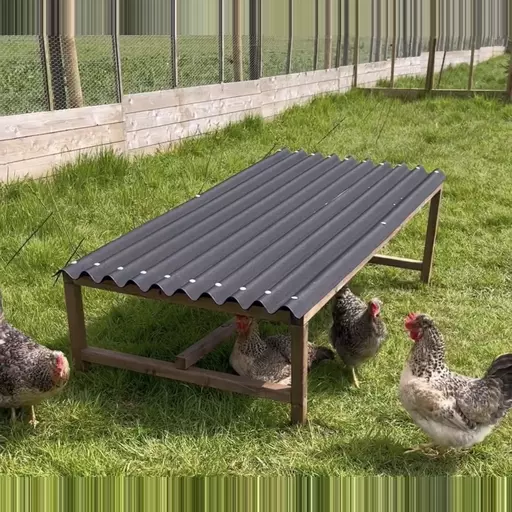 Chicken Rain Shelter with Perch