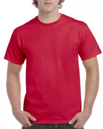 Adult T-Shirt