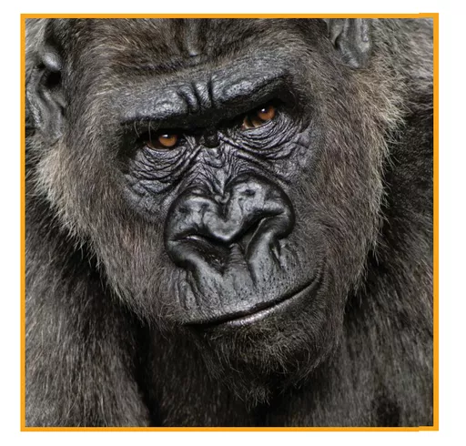 pVLT9WelbUaxuBEs801J-Q.c-r.jpg?