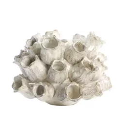 Screenshot 2025-10-31 at 10.56.56.jpg