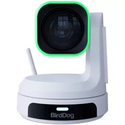 Birddog-BDPX1UW-2.jpg?