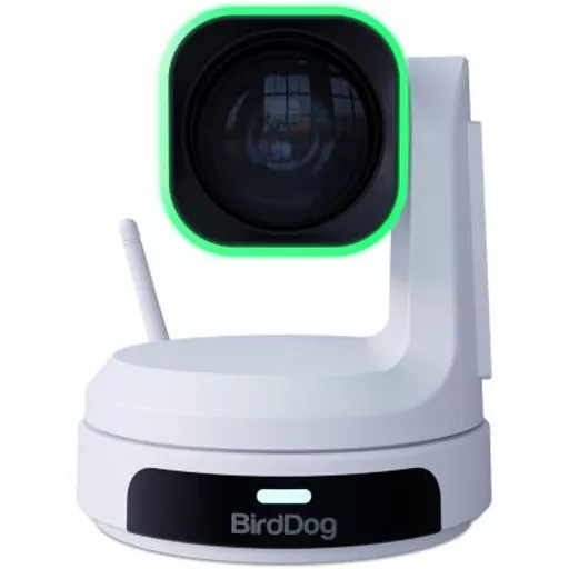 Birddog-BDPX1UW-2.jpg?
