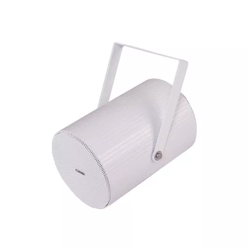 Clever Acoustics PS620T 100v Projector Speaker