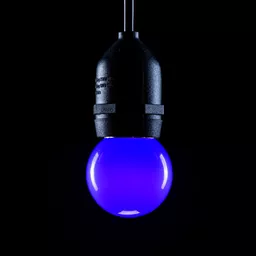 1670601875-84800500.jpg?