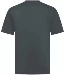 H075%20CHA%20BACK.jpg?