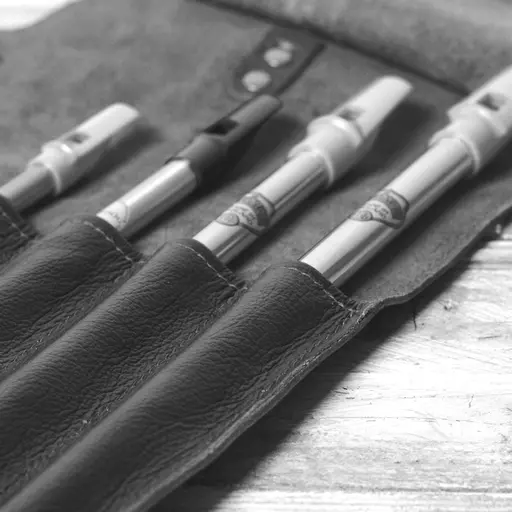 whistle case mono DSC_0851.jpg