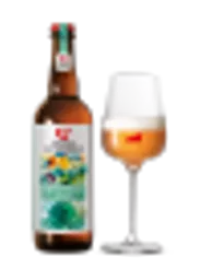 sti-25-hausbier-flascheglas-gipfelsturmer.png.webp