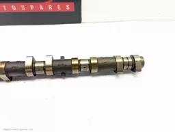 d1f57705-d2ee-46e2-b161-a3f084fc2274.jpeg?