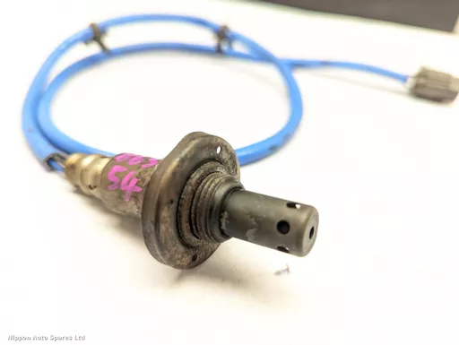 975e27ad-7235-4ec6-b71f-61f609f5ca18.jpeg?