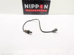 d8b2ba11-a470-430d-9e04-3ff401849bef.jpeg?