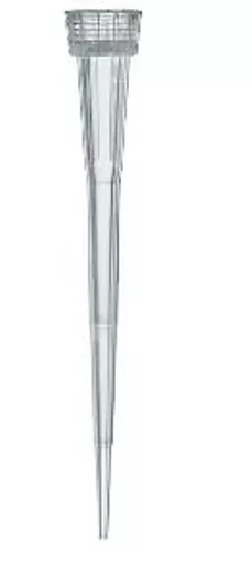 16497501599e06a5d23047d37161ba7a48614987ad.PNG?