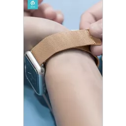 DEV-AW4244-MIL-RGLD4 (Copy).png