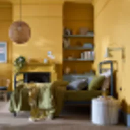 Three Bears Lifestyle.webp