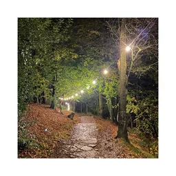 1650883974-19007700.jpg?