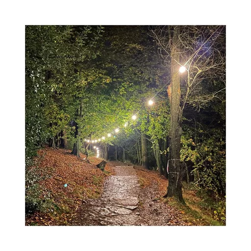 1650883974-19007700.jpg?