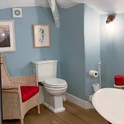 powder blue bathroom.jpg
