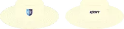 Hat 2.png