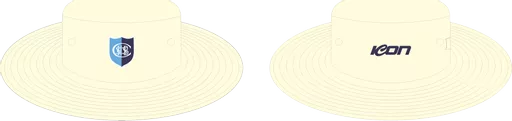 Hat 2.png