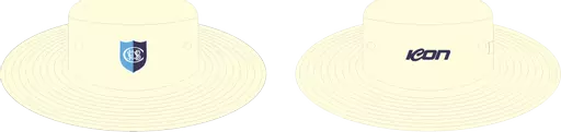 Hat 2.png