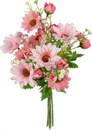 IT393819.jpg