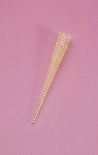 1770209167d4f1b5bdbe7aeb351ec834adf7b5e7bc.png?