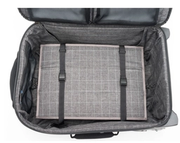 Venturing Observer M2 6.png