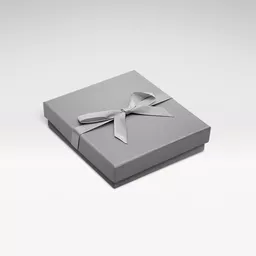 6301135-Silver-earring-box.jpg