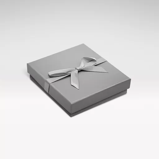 6301135-Silver-earring-box.jpg