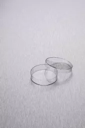 17702091683904036a9a9a0bd1a10f96e7e4cd3288.png?