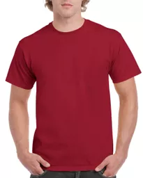 Ultra Cotton® Adult T-Shirt