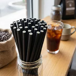 _0000s_0000_6 x 140mm Paper Straw Black.jpg