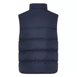 Chadwick_ChevronGilet993-40_Navy_Back.png