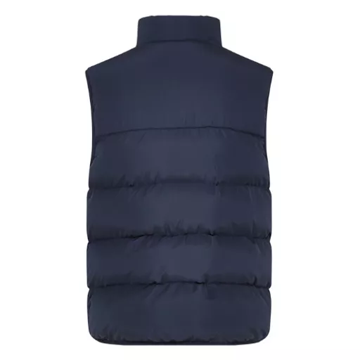 Chadwick_ChevronGilet993-40_Navy_Back.png
