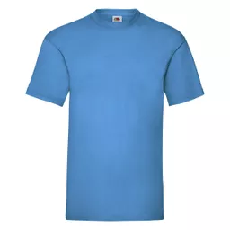 Men's Valueweight T-Shirt