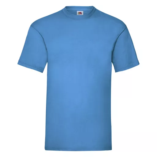 Men's Valueweight T-Shirt