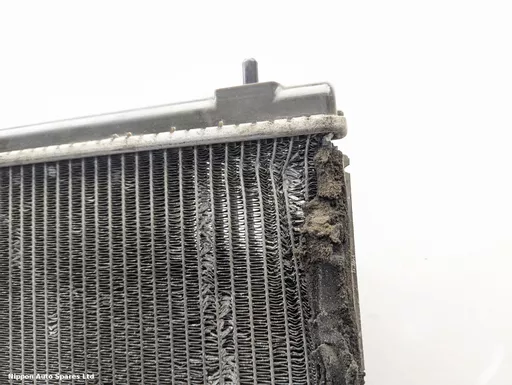 c461ca6a-ab23-487f-831c-9ea42be1fedb.jpeg?