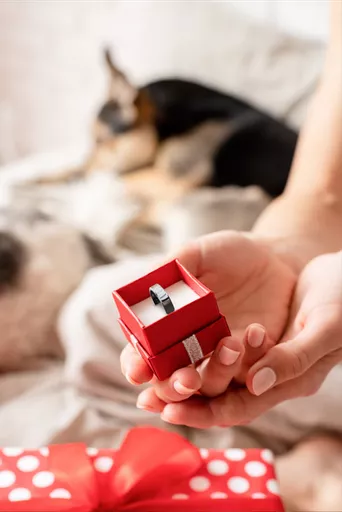 zhW4HpC8kE6EsAwyou2zZw.c-r.jpg?