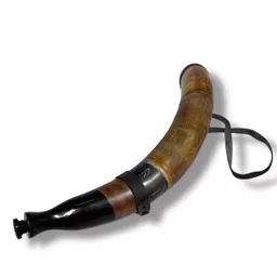 Engraved Blowing Horn 2.jpg