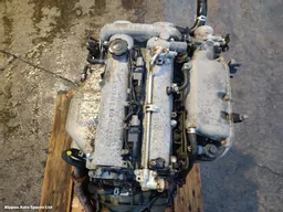 38f50731-a416-4d0a-97fd-44a464743653.jpeg?