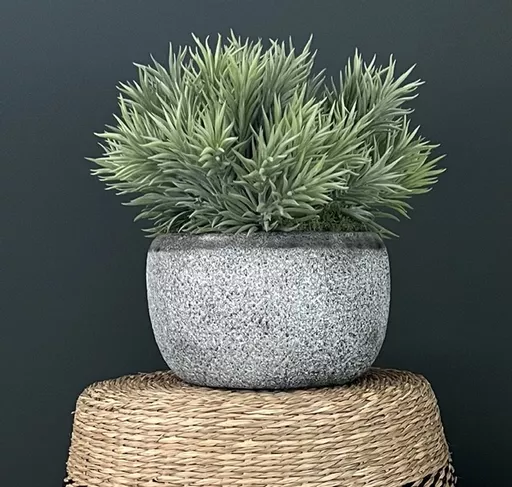 Spiky Succulents In Grey Pot - Large