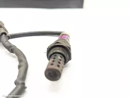 7b22c08a-4dd8-46a6-bc9f-26f90c7cbeea.jpeg?