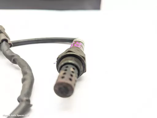 7b22c08a-4dd8-46a6-bc9f-26f90c7cbeea.jpeg?